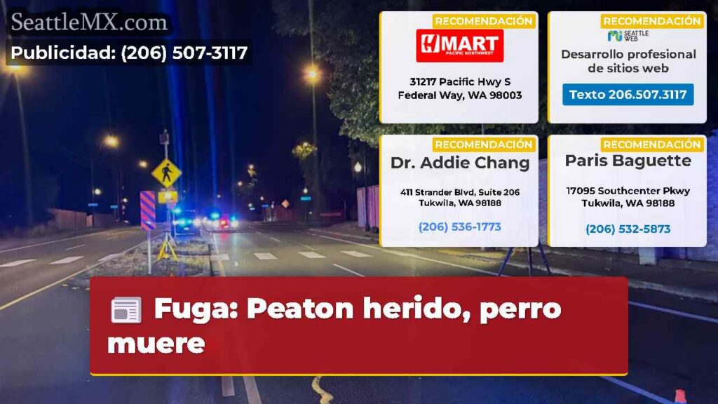 Noticias De Seattle 1 Fuga: Peaton herido, perro muere