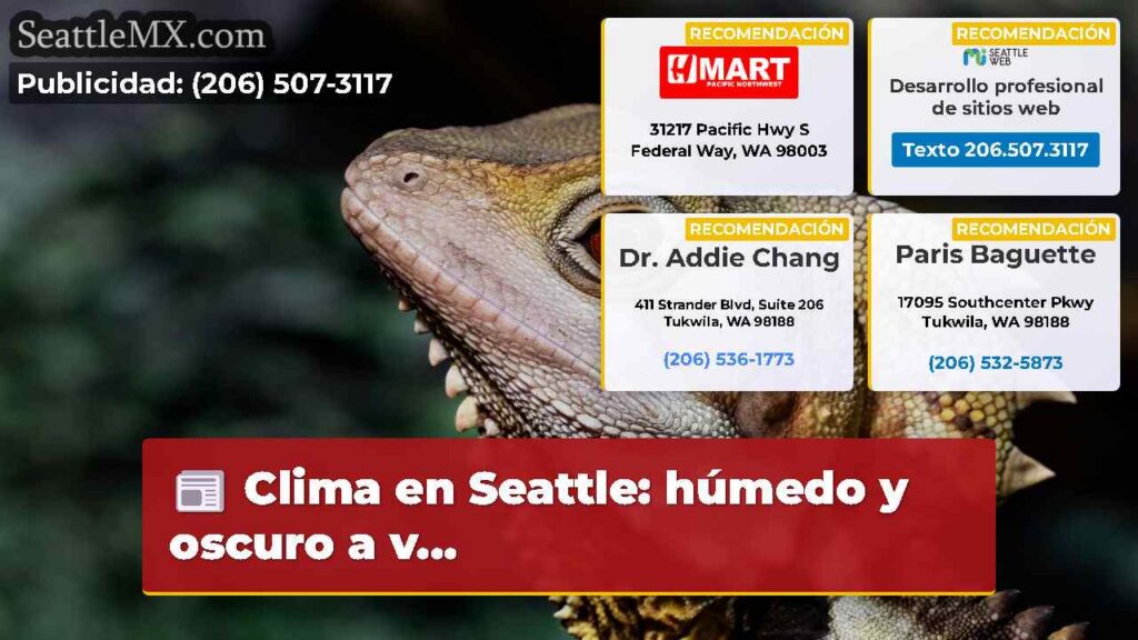Clima en Seattle: húmedo y oscuro a v...