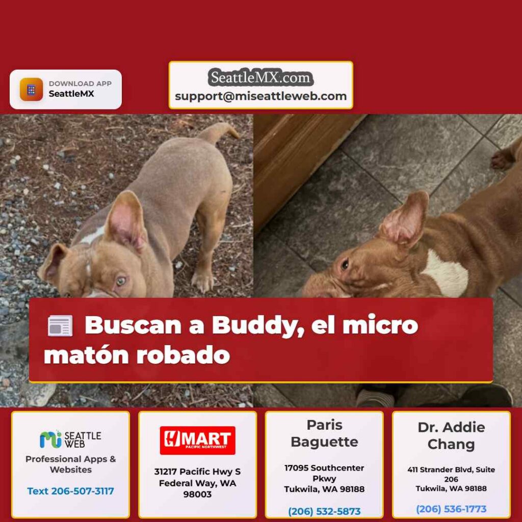 Buscan a Buddy, el micro matón robado