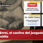 Errol el canino del juzgado se jubila