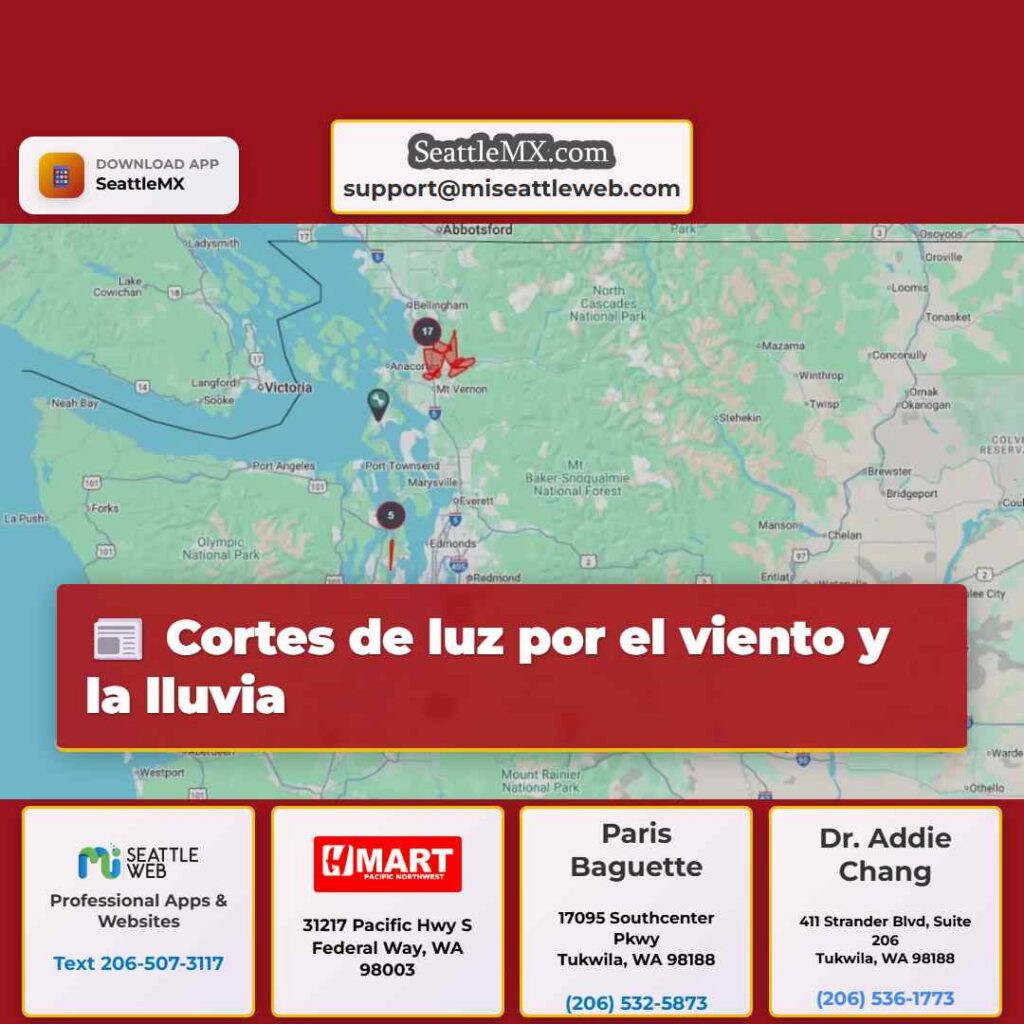 Cortes de luz por el viento y la lluvia