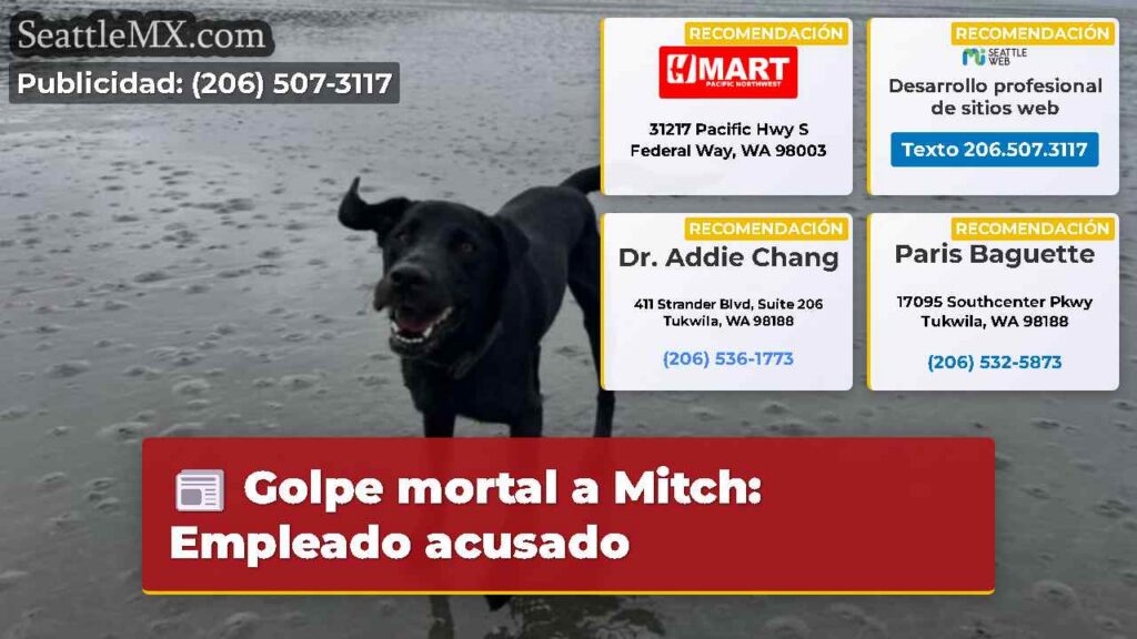 Noticias De Seattle 4 Golpe mortal a Mitch: Empleado acusado