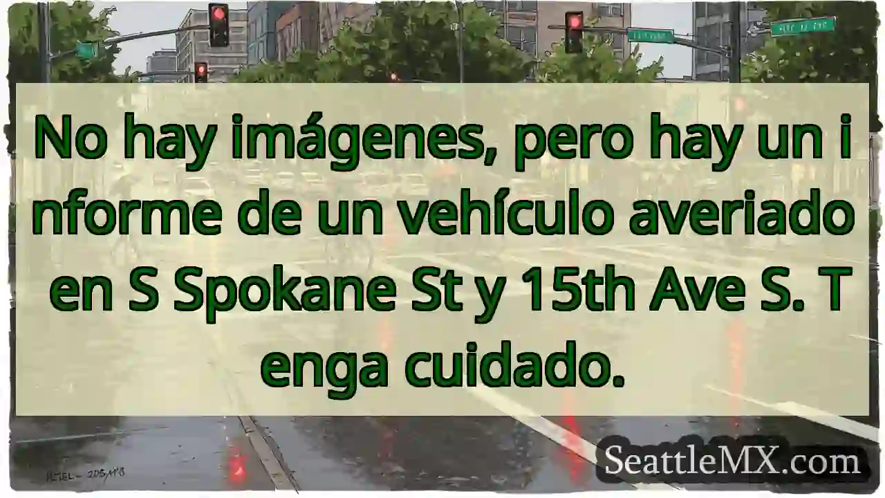 No hay imágenes, pero hay un informe de un