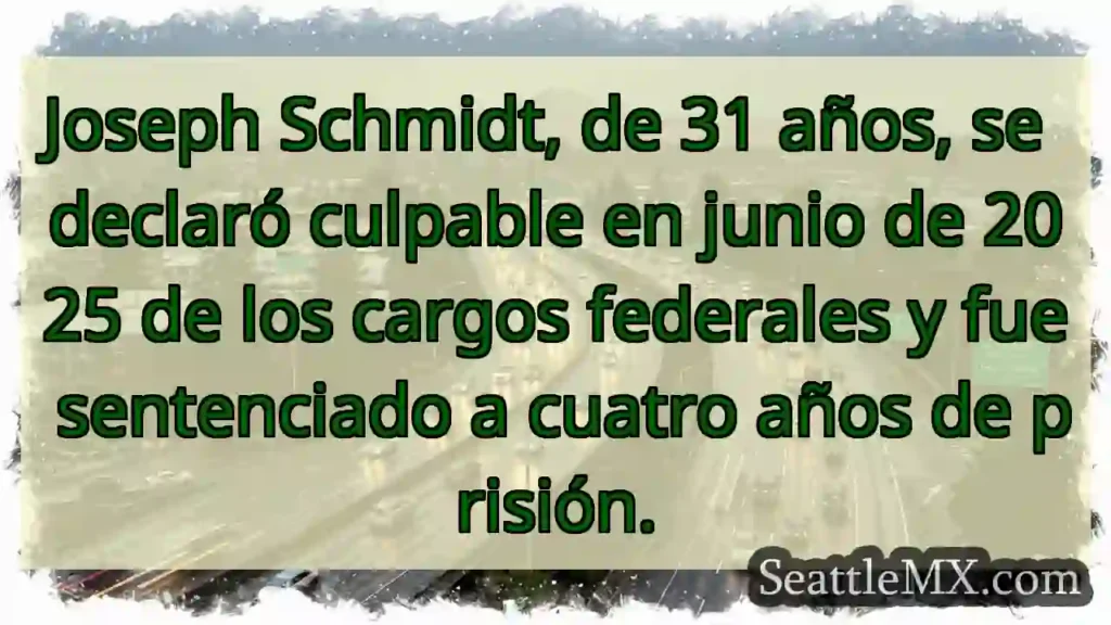 Joseph Schmidt, de 31 años, se declaró culpable
