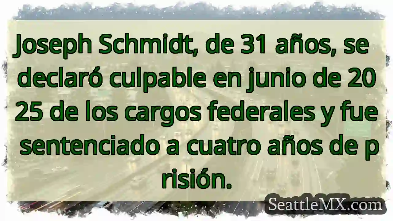 Joseph Schmidt, de 31 años, se declaró culpable