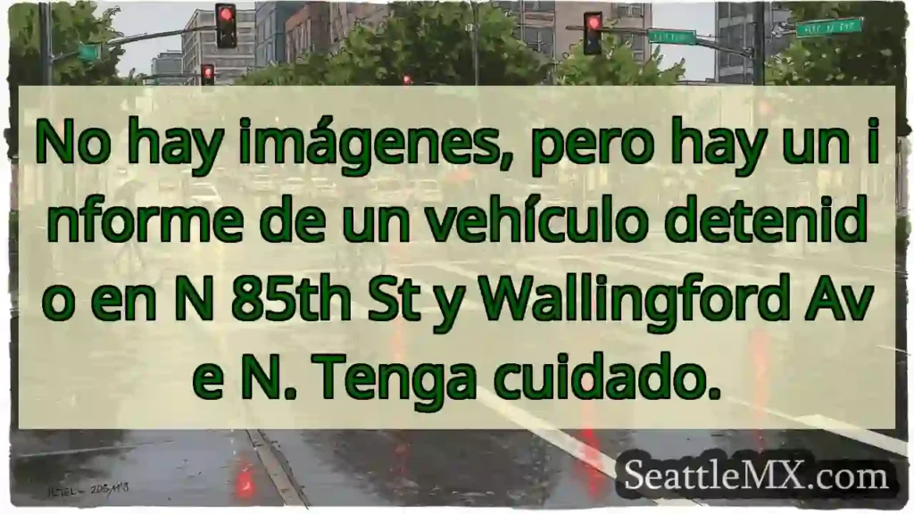 No hay imágenes, pero hay un informe de un