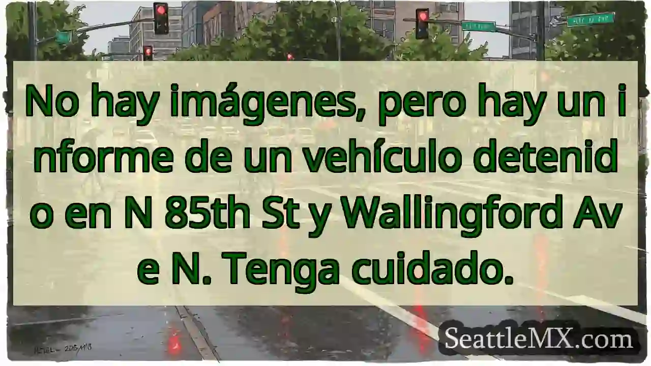 No hay imágenes, pero hay un informe de un