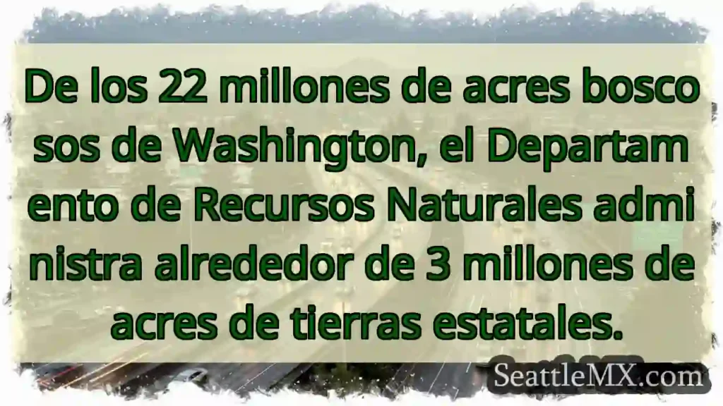 Noticias de transporte de Seattle 3 De los 22 millones de acres boscosos de