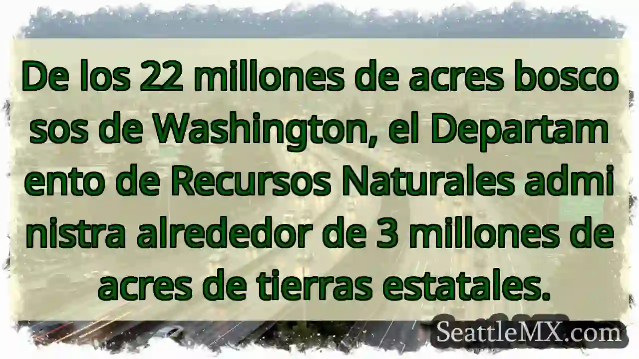 Noticias de transporte de Seattle 4 De los 22 millones de acres boscosos de