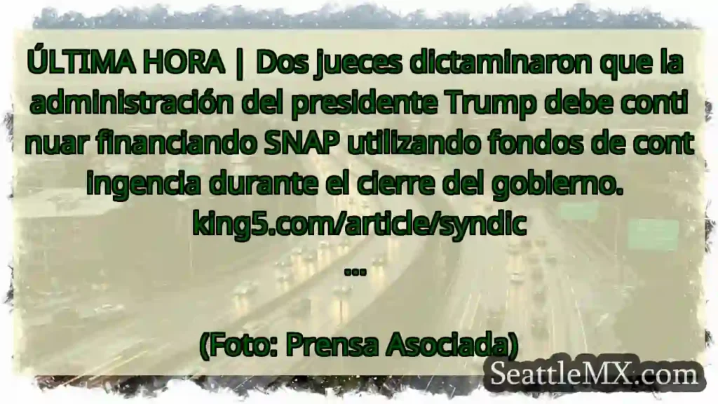 Noticias de transporte de Seattle 5 ÚLTIMA HORA | Dos jueces dictaminaron que la