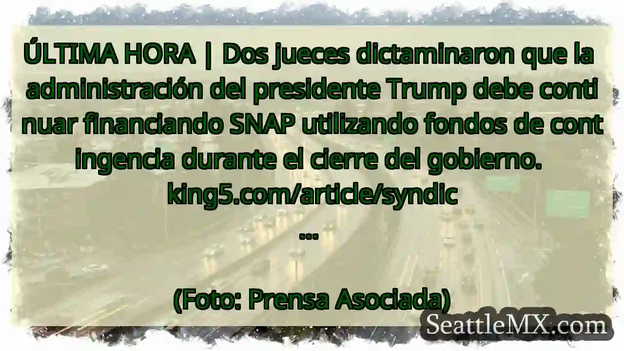 Noticias de transporte de Seattle 6 ÚLTIMA HORA | Dos jueces dictaminaron que la