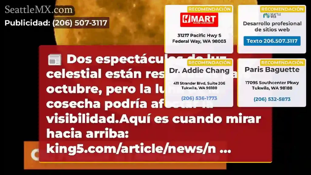 Dos espectáculos de luz celestial están