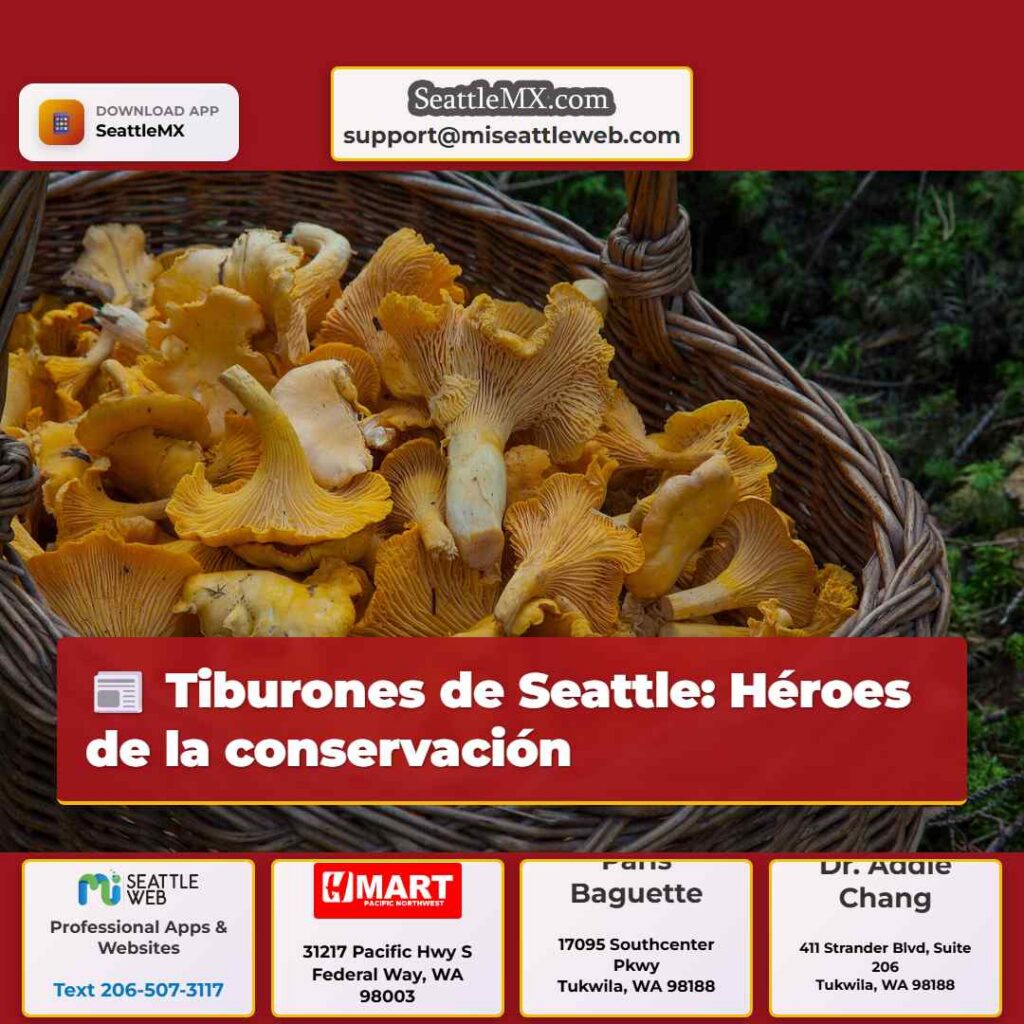 Tiburones de Seattle: Héroes de la conservación