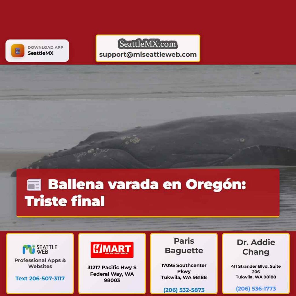 Ballena varada en Oregón: Triste final