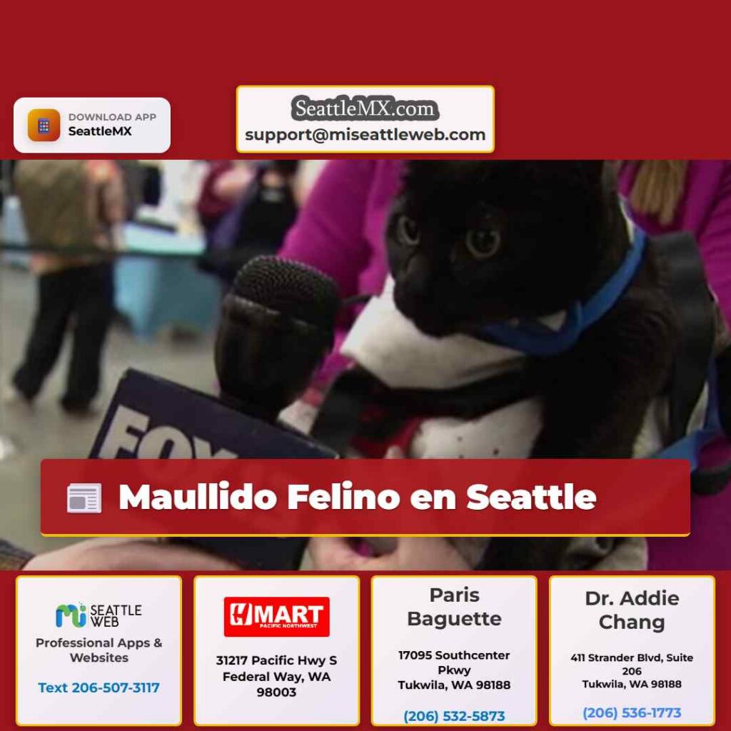 Maullido Felino en Seattle