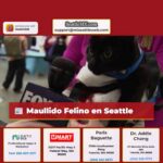 Maullido Felino en Seattle