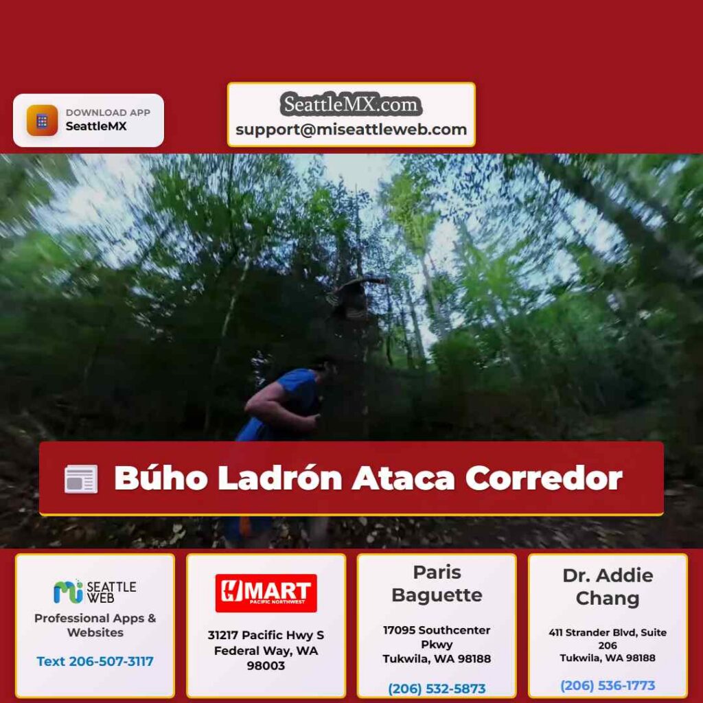 Búho Ladrón Ataca Corredor