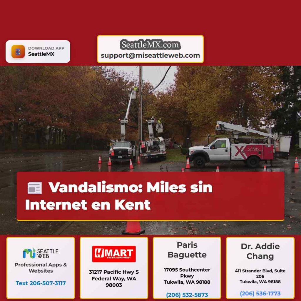 Vandalismo: Miles sin Internet en Kent