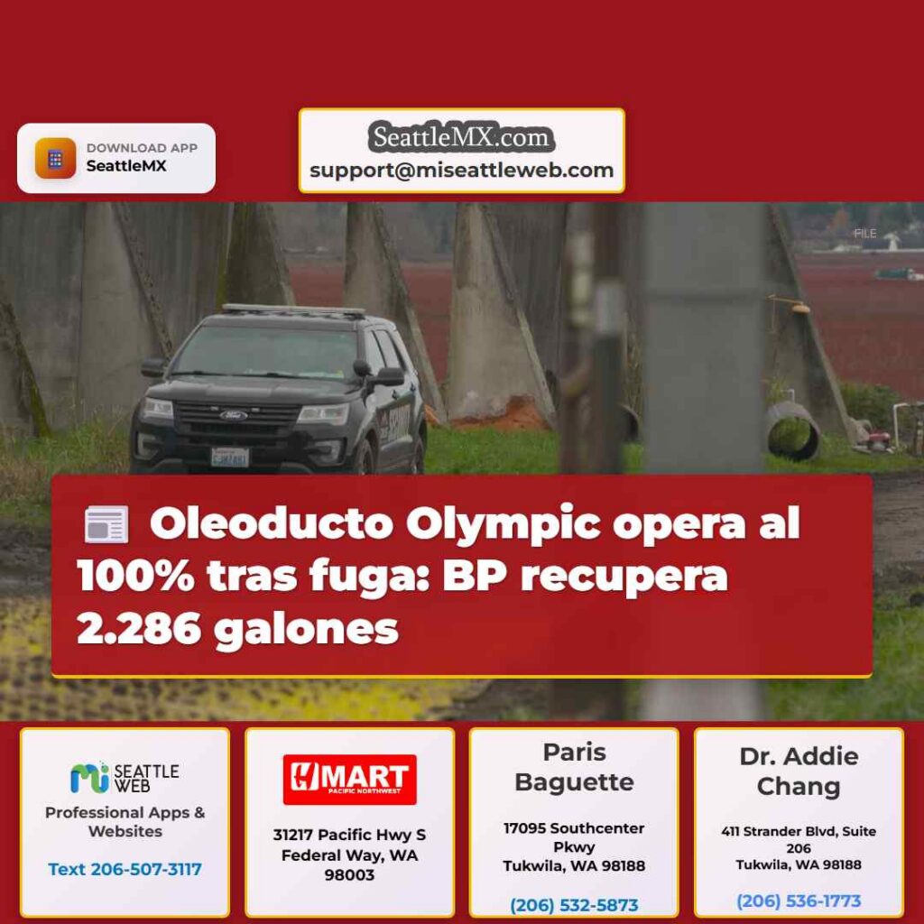 Oleoducto Olympic opera al 100% tras fuga: BP