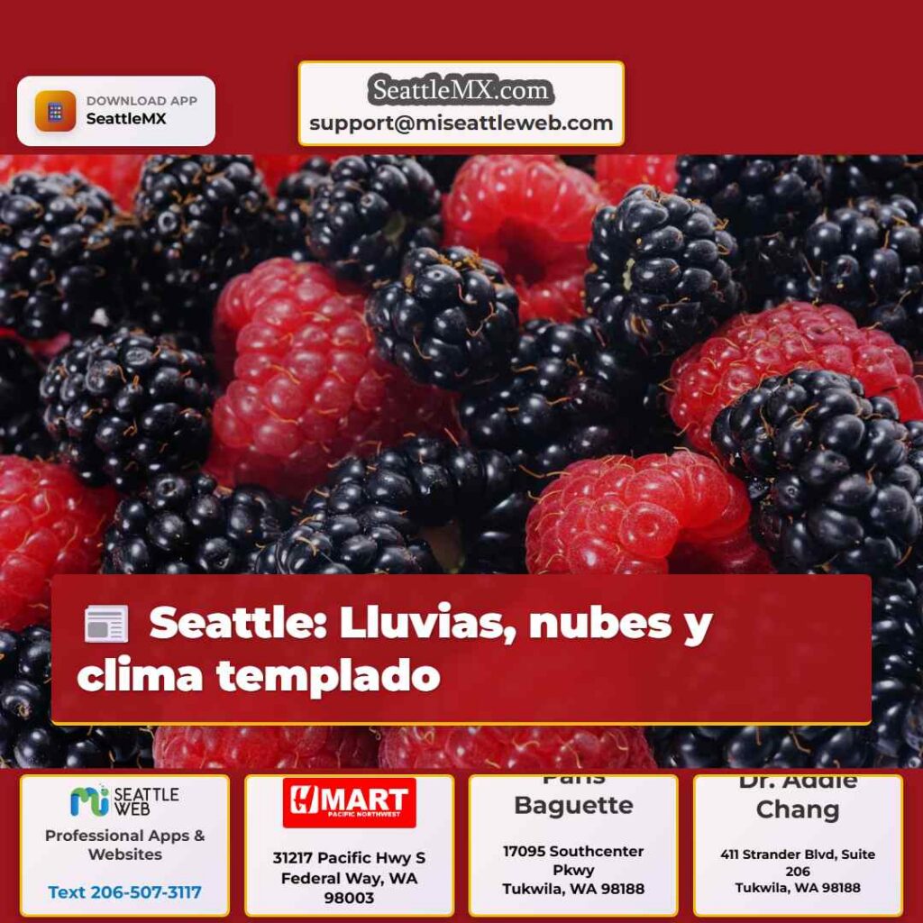 Seattle: Lluvias, nubes y clima templado