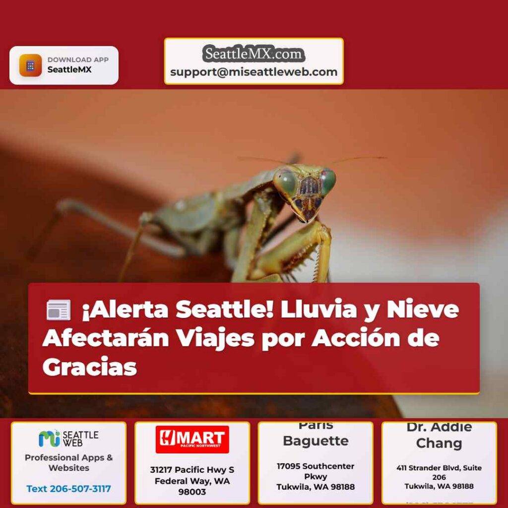 ¡Alerta Seattle! Lluvia y Nieve Afectarán Viajes