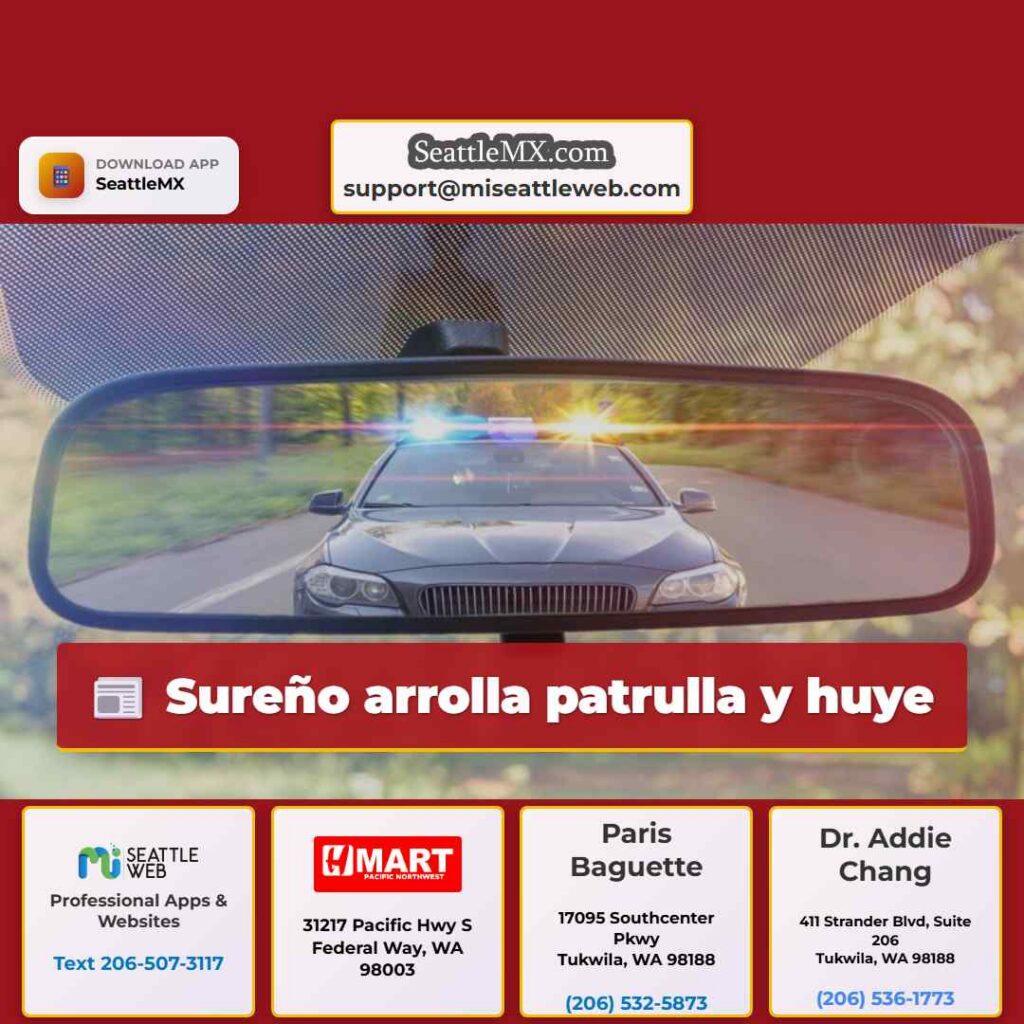 Sureño arrolla patrulla y huye