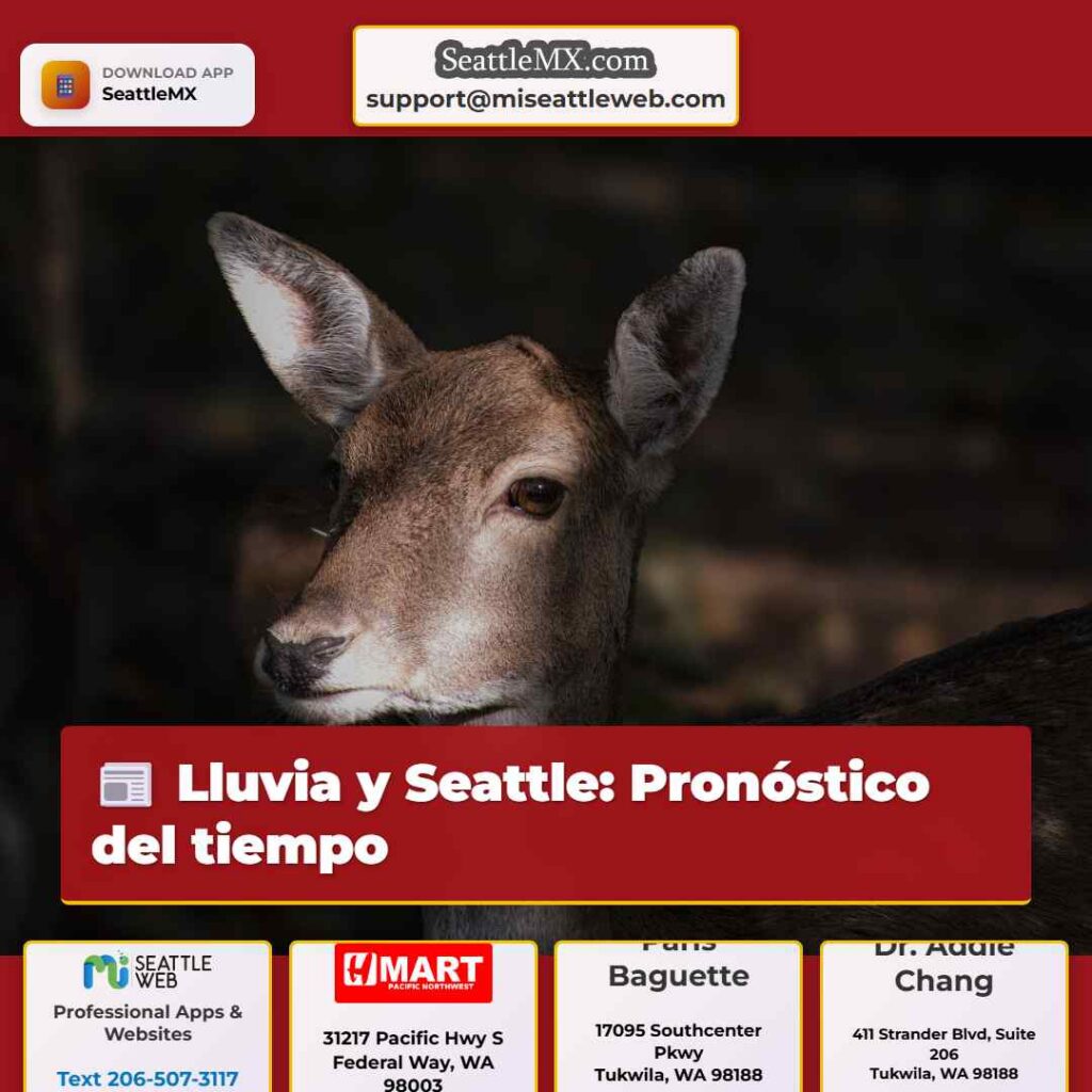 Lluvia y Seattle: Pronóstico del tiempo