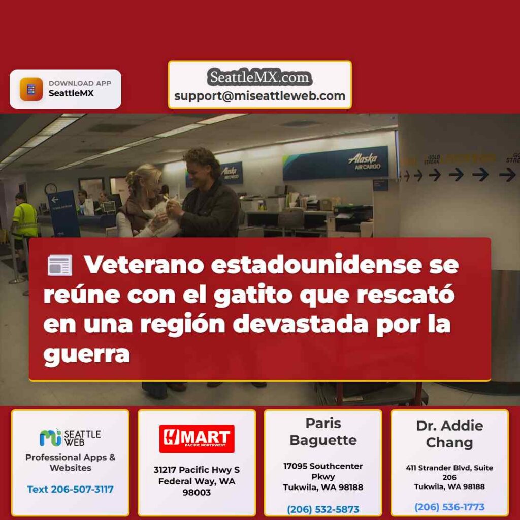 Veterano estadounidense se reúne con el gatito