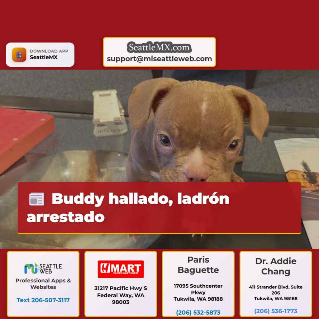 Buddy hallado, ladrón arrestado