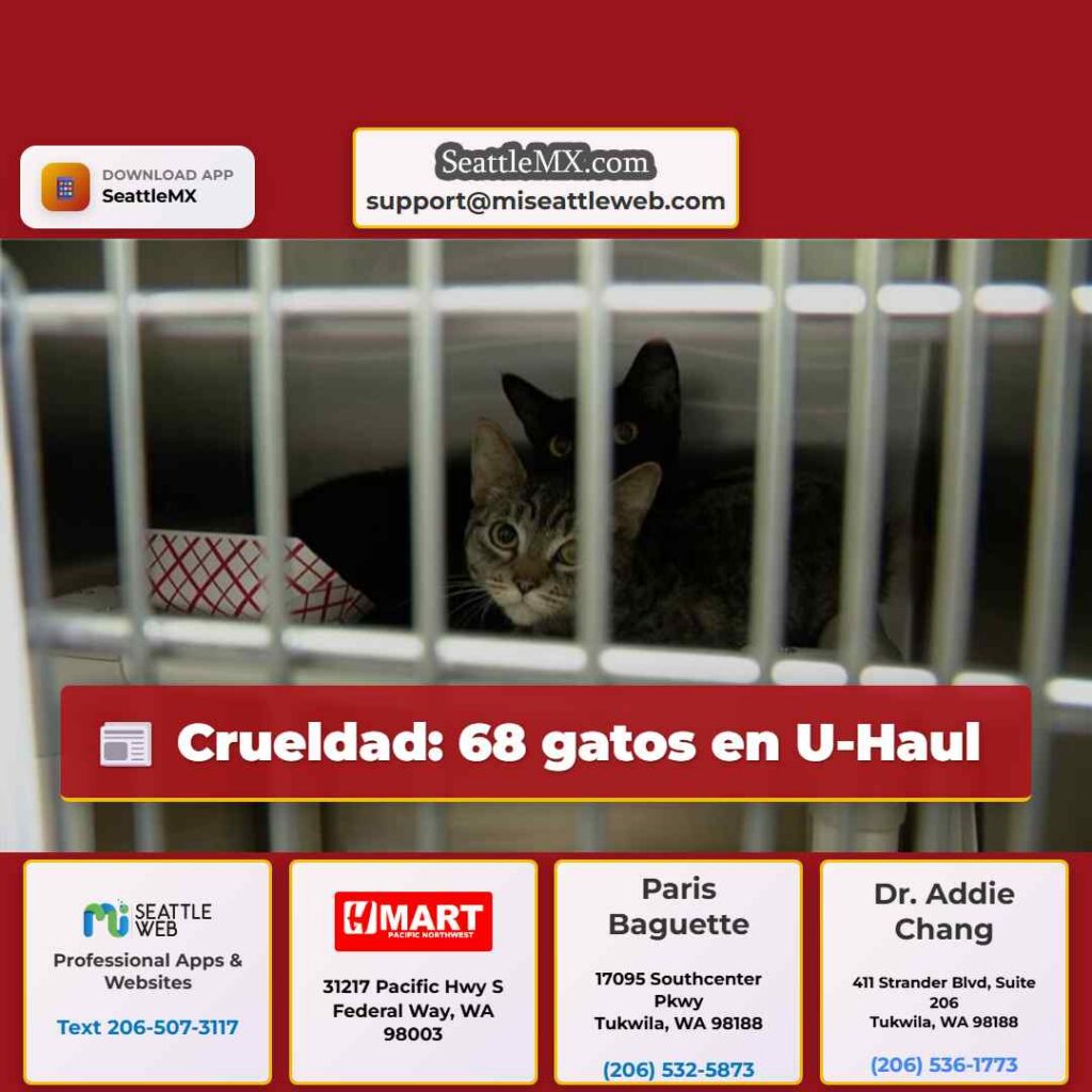 Crueldad: 68 gatos en U-Haul