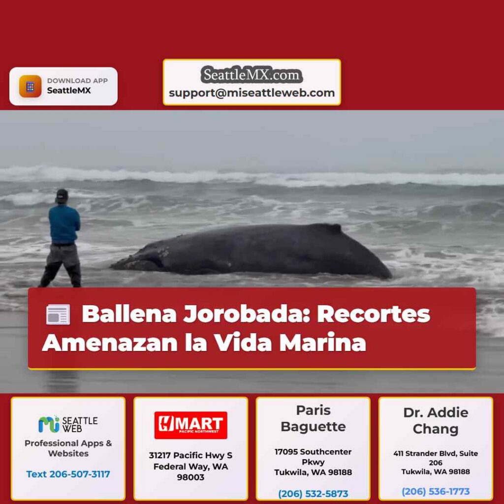 Ballena Jorobada: Recortes Amenazan la Vida Marina