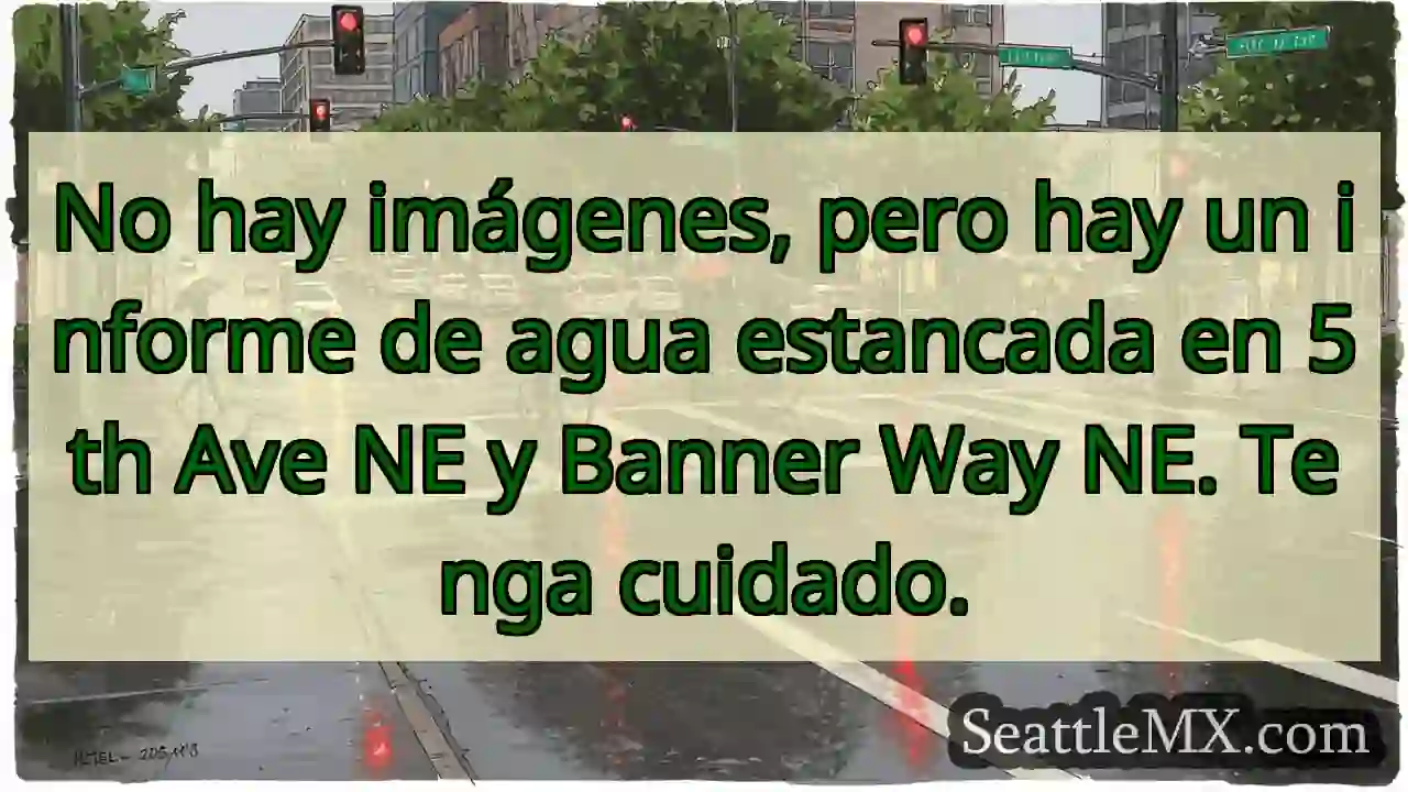 No hay imágenes, pero hay un informe de agua 1 No hay imágenes, pero hay un informe de agua