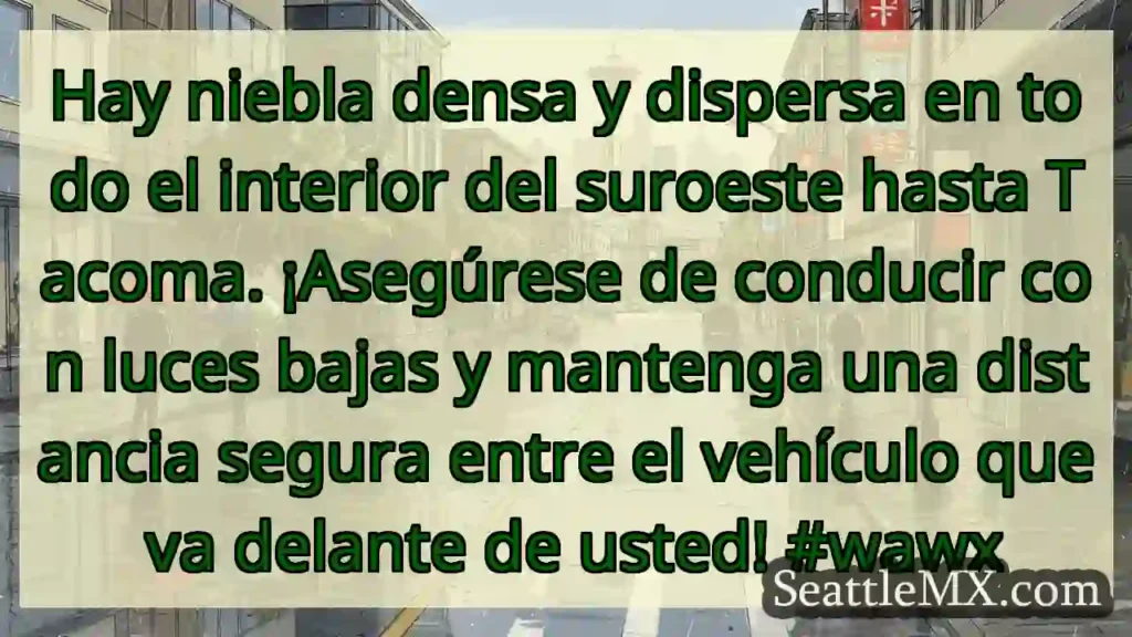 Hay niebla densa y dispersa en todo el interior