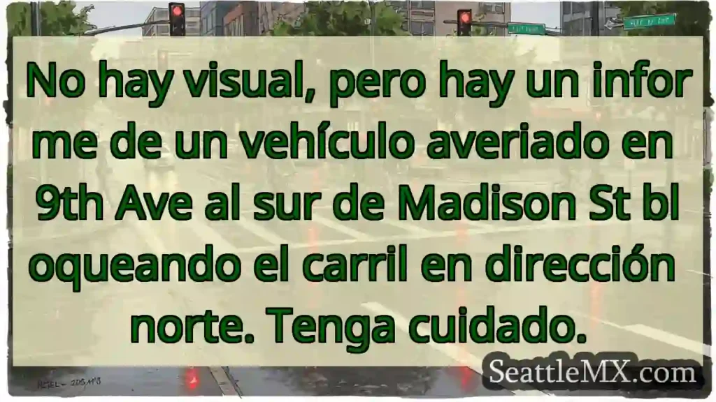 No hay visual, pero hay un informe de un vehículo