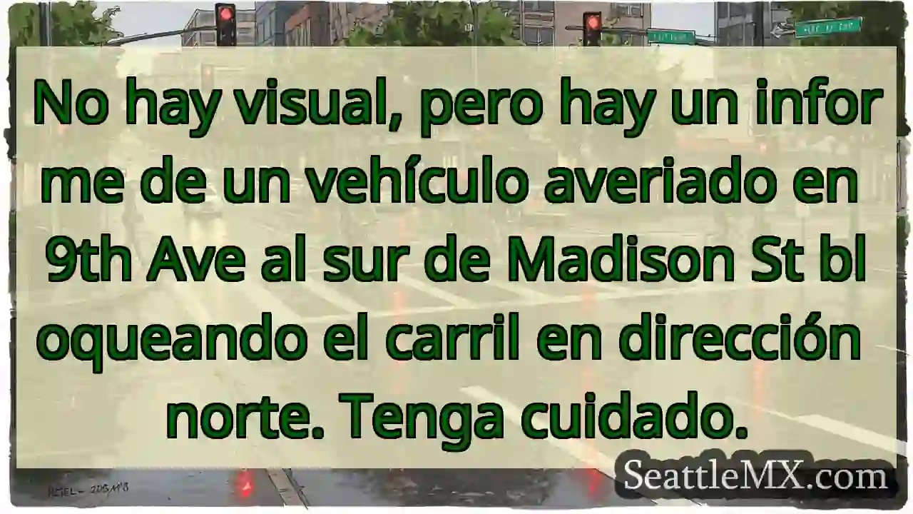 No hay visual, pero hay un informe de un vehículo