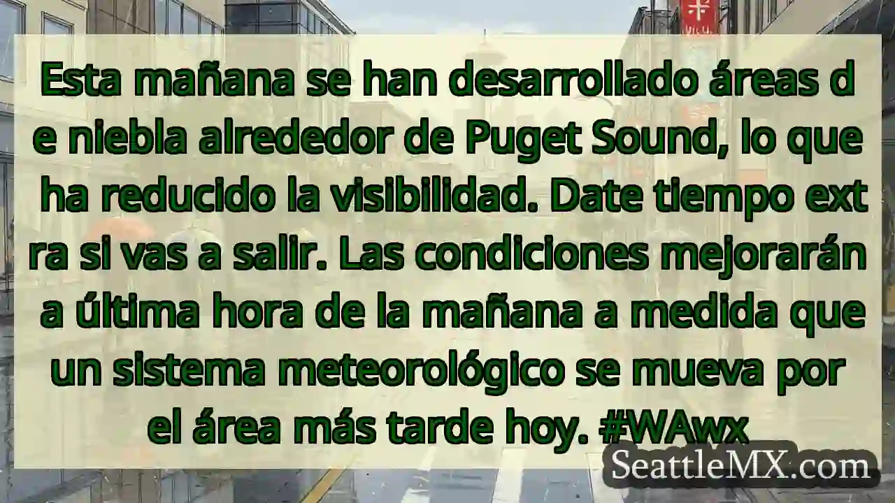 Esta mañana se han desarrollado áreas de niebla