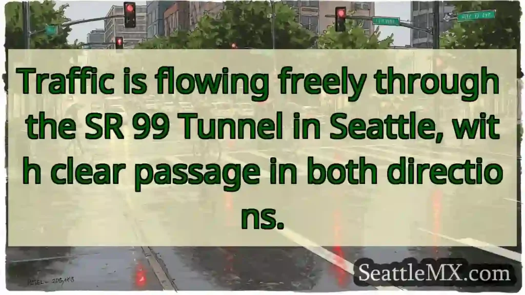 SR 99 Tunnel: Clear & Flowing!
