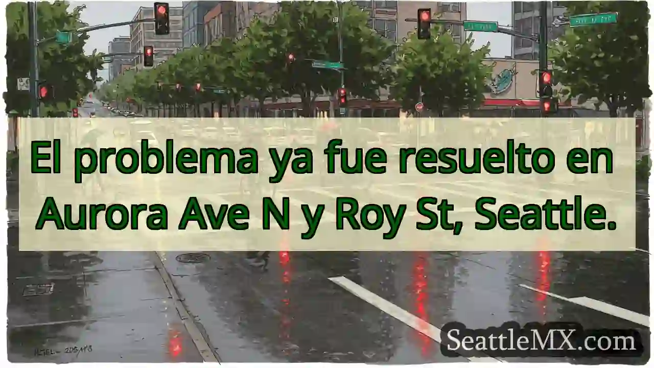 Aurora & Roy: ¡Listo! ✅