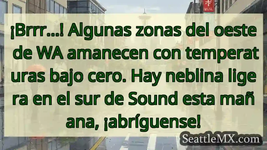 ¡Frío! Zonas del oeste WA bajo cero 🥶