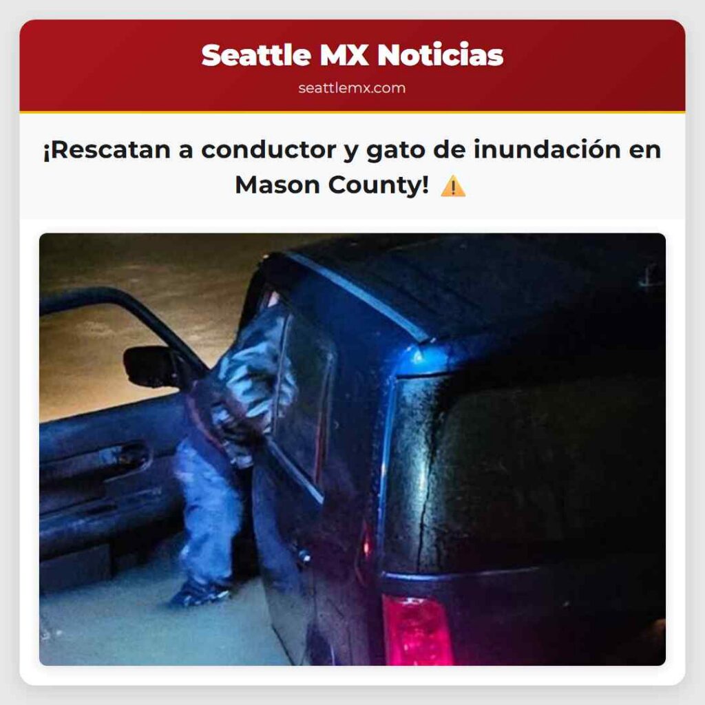 ¡Rescatan a conductor y gato de inundación en