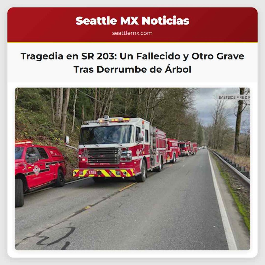 Tragedia en SR 203: Un Fallecido y Otro Grave