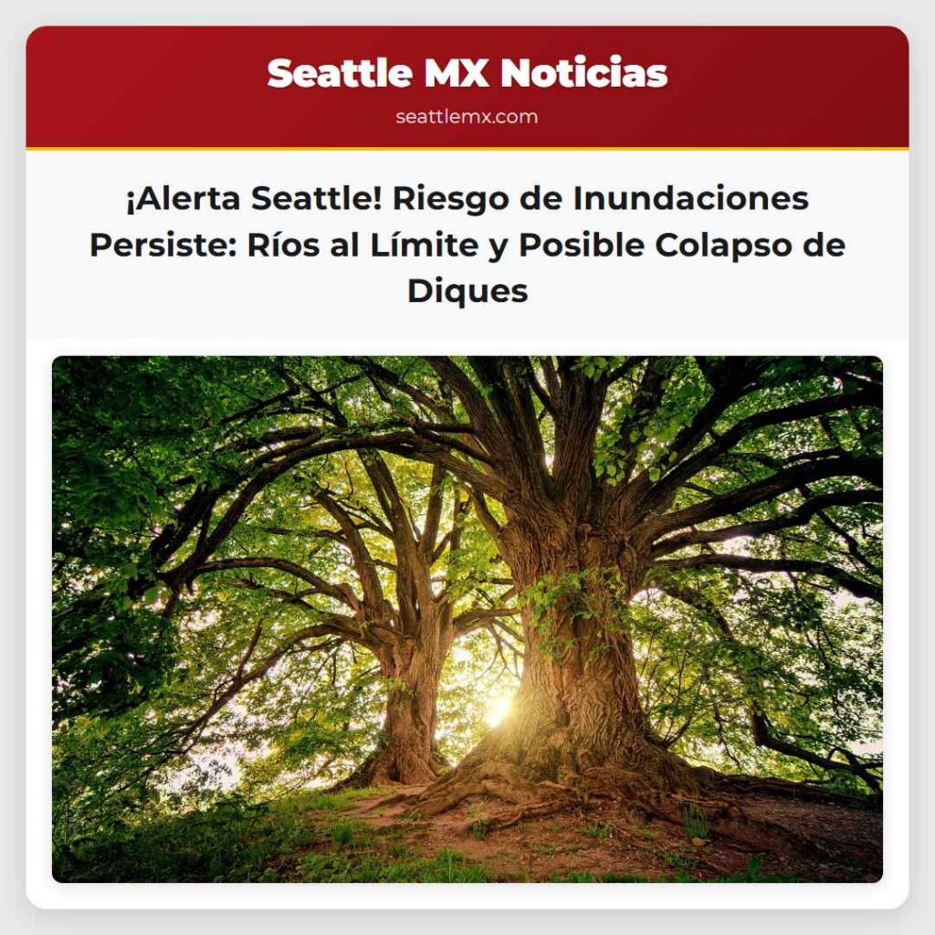 ¡Alerta Seattle! Riesgo de Inundaciones Persiste: