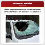 Árbol impacta parabrisas y hiere a conductor cerca de Leavenworth en medio de alertas por inundaciones
