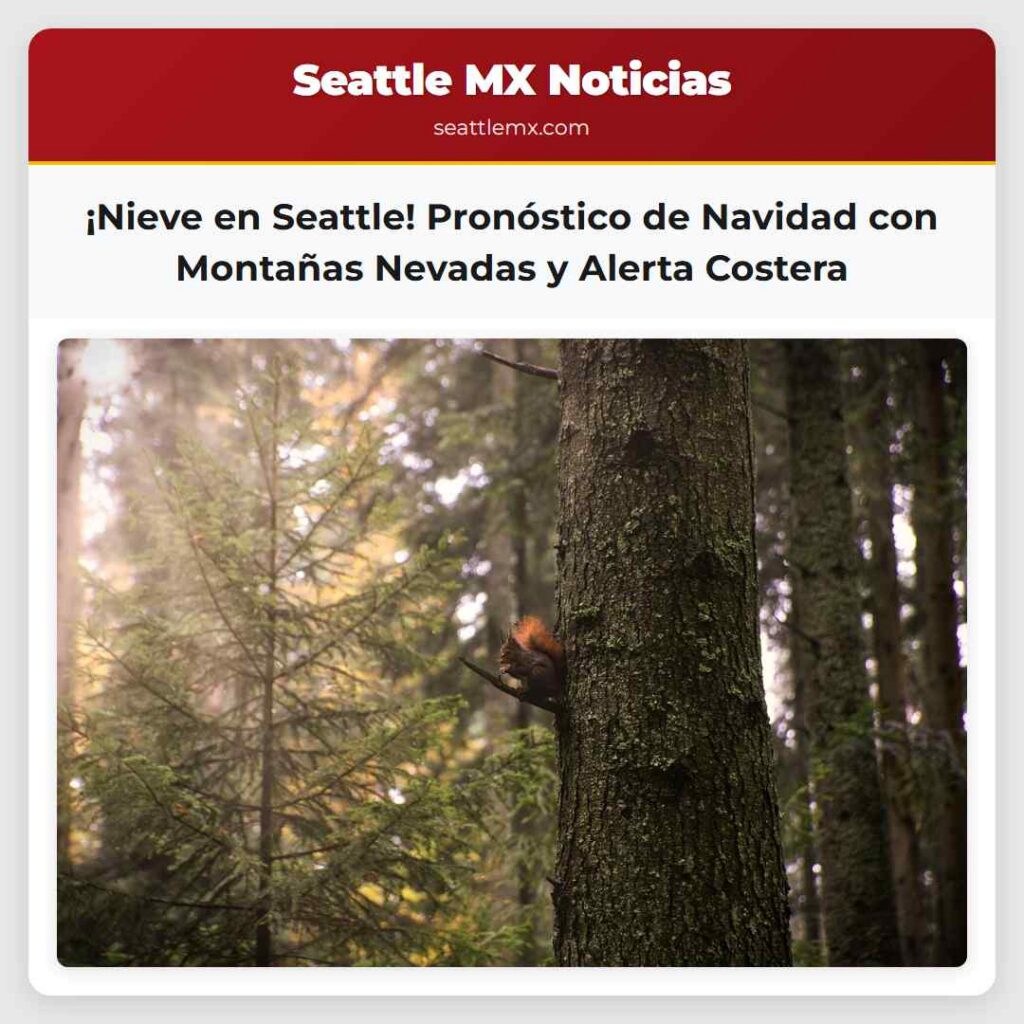 ¡Nieve en Seattle! Pronóstico de Navidad con