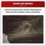 Fuertes Vientos Azotan el Estado de Washington Dejando Miles Sin Electricidad