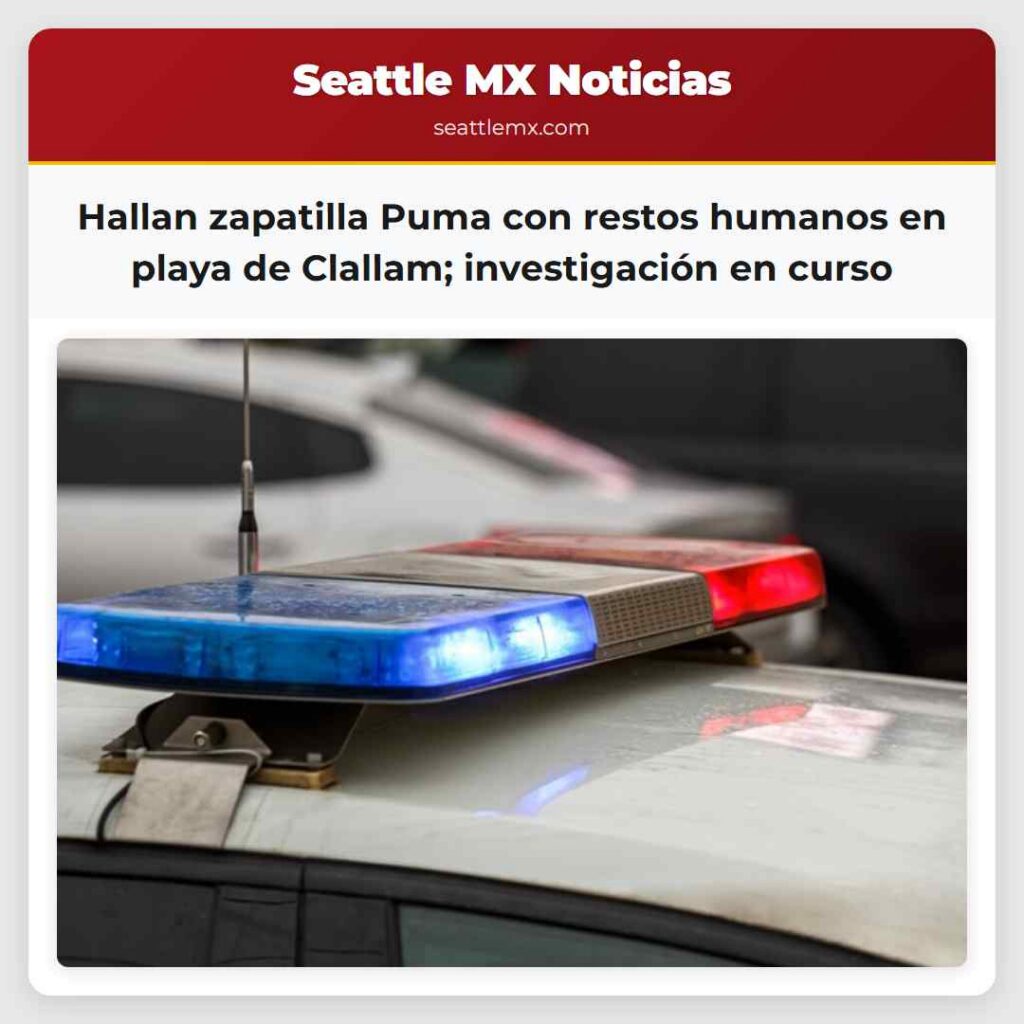 Hallan zapatilla Puma con restos humanos en playa