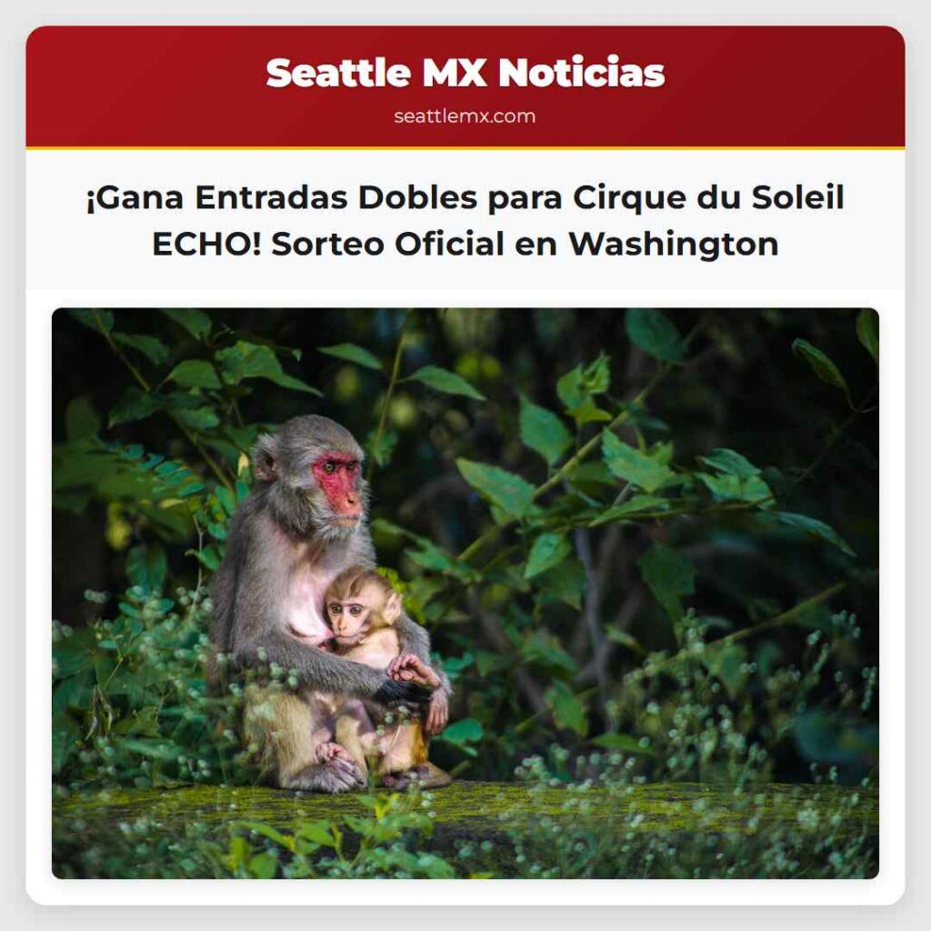 ¡Gana Entradas Dobles para Cirque du Soleil ECHO!