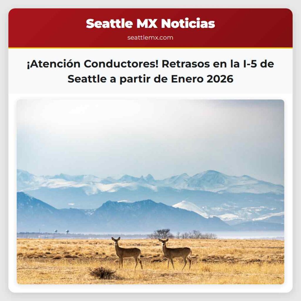 ¡Atención Conductores! Retrasos en la I-5 de