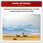 WSDOT Anticipa Retrasos en la I-5 Trabajos de Revive I-5 Comenzarán en Enero