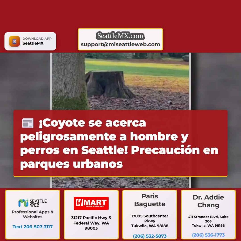 ¡Coyote se acerca peligrosamente a hombre y